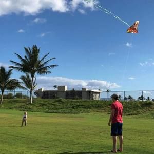 Meet your Posher, Brady